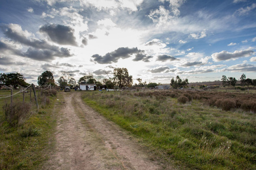 Venta Chacra Prox. Ruta 102 Y Camino Los Aromos