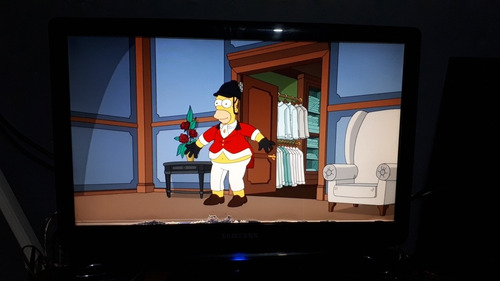 Monitor Samsung 21 Pulgadas Usado Leer !!!! (Usado)