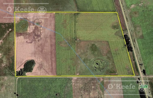Imagen 9 de 13 de Campo 60 Has - 100% Agrícola - Oportunidad Sobre Ruta 41 - General Belgrano