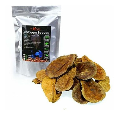 Dr. Moss Catappa Leaves - Indian Almond Leaves Medium Catapp