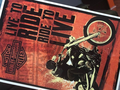 Cuadro Póster Cartel 30 X 40 Cualquier Imagen