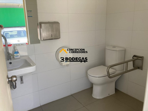 Arriendo Bodega De 1616 M2 En Pi Lo Boza.