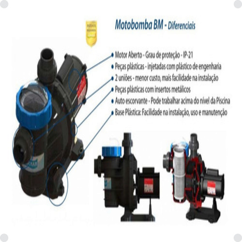 Bomba Piscina Bm200 2cv P/fm60 Monofasico - 000831