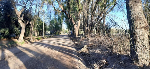 Imagen 14 de 19 de Terreno En Venta San Rafael
