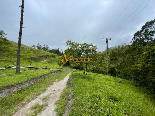 Imagem 7 de 16 de Rural Comercial - 366000-v