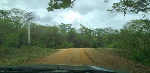 Imagen 9 de 17 de Finca En La Colonia En Yaracal Edo. Falcon