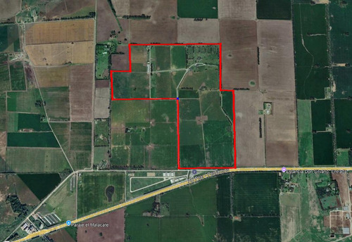 Venta Campo Haras San Andres De Giles