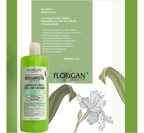 Shampoo Bergamota Elementos Concentrados Florigan® 1lt.