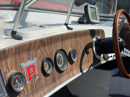 Paglietini Gacelux Evinrude 120 Hp 2 Tiempos Año 1988