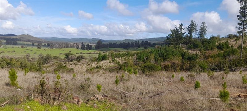 Disfruta De Vichuquén Laguna Torca Y Playa Llico A Minutos