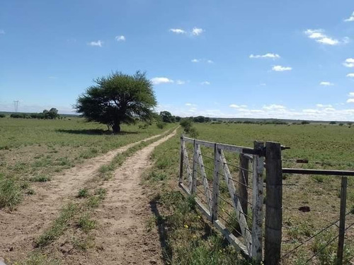 Campo En Venta De 312 Hectáreas, Médanos