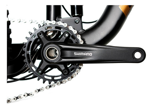 Bicicleta Belfort Balam Comp B3 R29 T17 Negro Cobre 2025 Tamaño del cuadro L