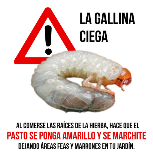 Gallinatox 3% Control De Gallina Ciega Insecticida 1kg.