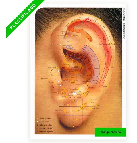 Oreja de silicona, mapa de auriculoterapia plastificado A4