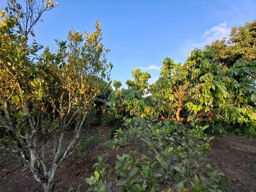 Chácara Em Condominio Fechado Em Ibiúna - 1000 M2 Terreno - Casa 3 Dormitórios Com Churrasqueira E Edícula