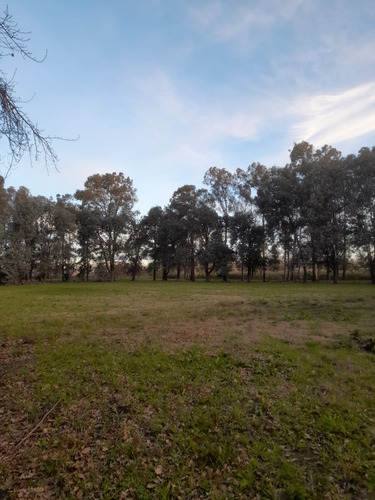 Particular Alquila Parcela/lote En Zona Ruta 36 La Plata
