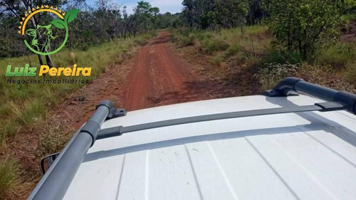 Imagem 4 de 4 de Fazenda À Venda Em Centenário - To -1.210 Hectares (dupla Aptidão) - 2073