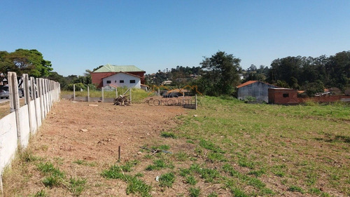 Imagem 6 de 8 de Terreno - Centro - Ref: 2220 - V-4404