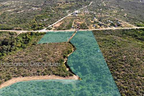 Imagen 14 de 24 de 5 Hectáreas 6 Lotes De 1000m2 Sobre Ruta Nº 1 - Cortadera