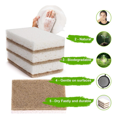 Paquete De 24 Esponjas Naturales Ecológicas Para Platos - Bi
