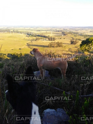 Excelente Campo En Ruta 13 - Venta- Ref: 28880