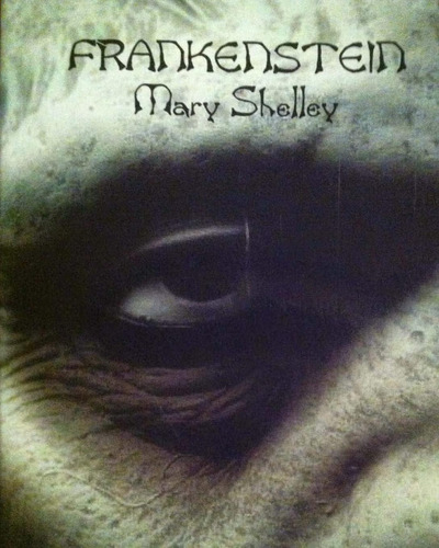 Libro: Frankenstein (spanish Edition): El Moderno Prometeo