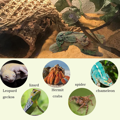 Decoración De Hábitat Para Reptiles Tronco Hueco De Resina