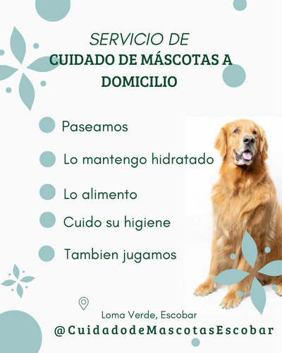 Cuidado De Mascotas A Domicilio Zona Norte, Escobar