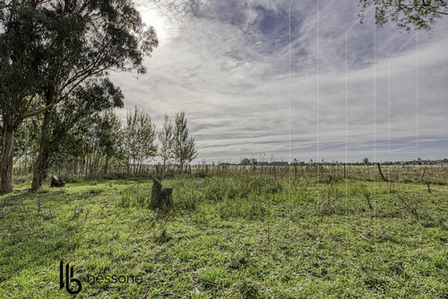 Campo En Jorge Newbery