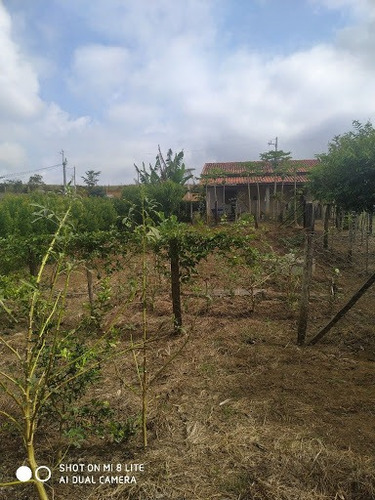 Imagem 4 de 5 de Oportunidade De Chácara No Boa Vista Em Caçapava - Ch0040