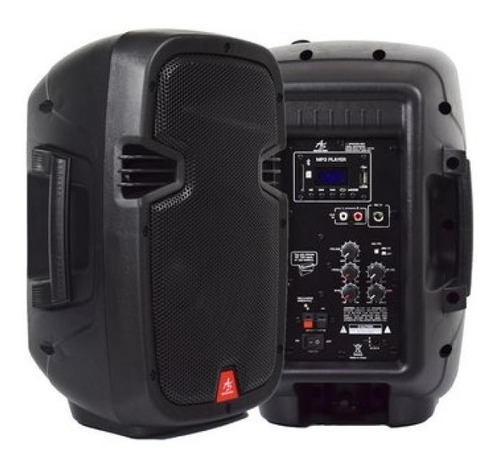 Cabina Profesional Recargable 250w Bluetooth + Microfono