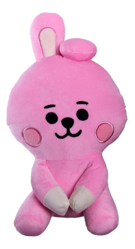 Peluche Baby Bebé Bts  Bt21 Cooky Conejo