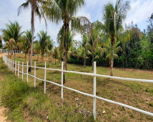 Imagem 3 de 20 de Sitio - Cp25a03 - 69286296