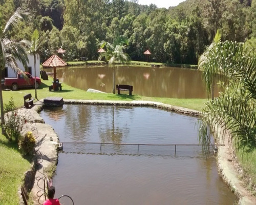Imagem 10 de 30 de Sitio À Venda Em Juquitiba, - 21 - 32982657