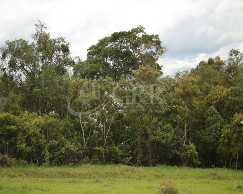 Imagem 27 de 27 de Sobrado 2 Dormitórios No Santa Ines Iii - Região Leste De São José Dos Campos - Ca00997 - 68571798