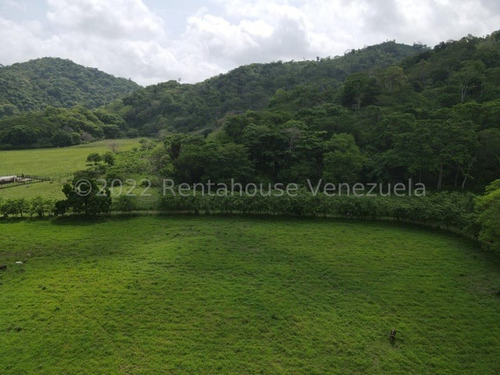 Imagen 11 de 30 de Finca En Venta San Felipe 1500 Ha, #23-14481