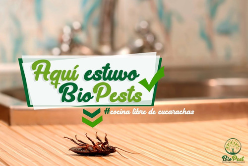 Imagen 6 de 12 de Control De Plagas Con Responsabilidad Ambiental.