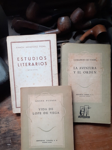 Estudios Literarios,/vida Lope De Vega / Poetas Y Su Mundo