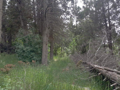 Imagen 5 de 18 de Terreno - Cerro Runge