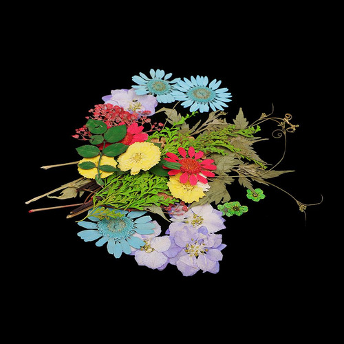 Flores Secas Prensadas 30 Piezas Mix1