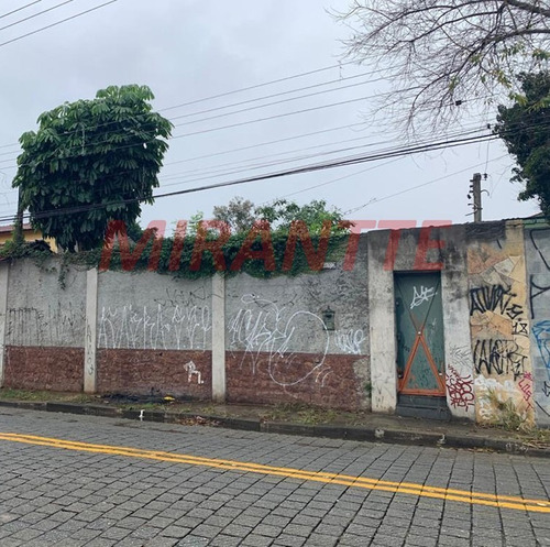 Imagem 3 de 6 de Terreno Em Ponte Grande - Guarulhos, Sp - 351498