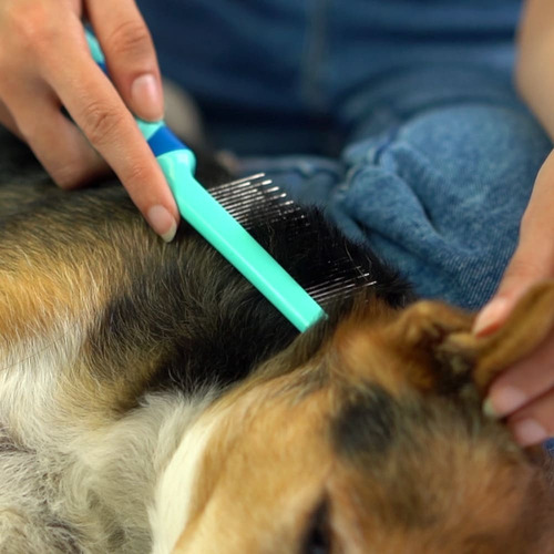 Mimo Pp345 Pente Blue Para Pets Cor Azul