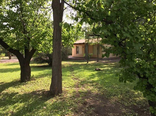 Casa En Venta - 5 Dormitorios 3 Baños - Cocheras - 30.780mts2 - Rama Caída, San Rafael
