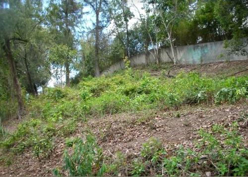 Imagen 5 de 6 de Vendo Terreno Sector El Corralito Carrizal