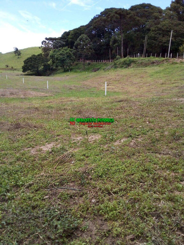 Imagem 6 de 8 de Chácara Maria Da Fé Em Minas Gerais - 2250