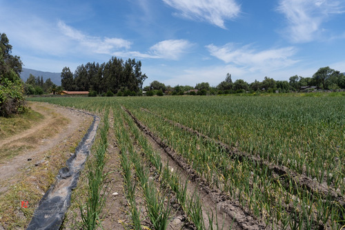 32 Lotes Con Total De 21,17 Ha, Comuna De El Monte, Rm