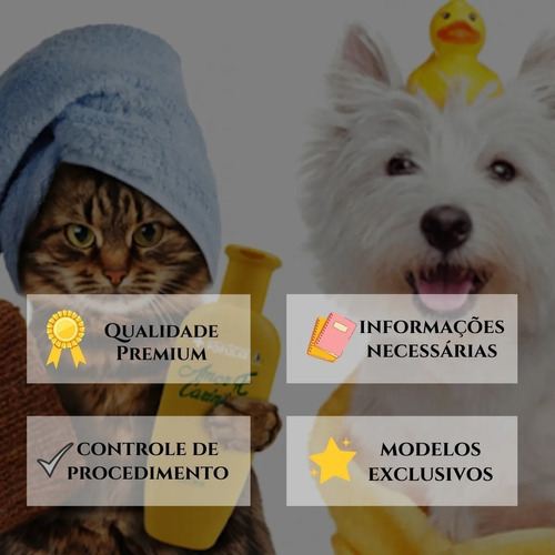 2 Blocos De Anamnese Para Banho E Tosa Ficha Para Pet Shop