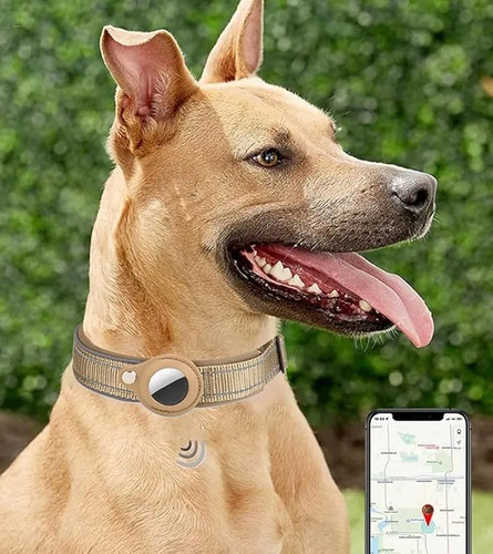 Collar Perro Airtag,con Funda Airtag,ajustable Caqui Corazones Xl