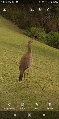 Belíssima Propriedade Em Visconde De Mauá