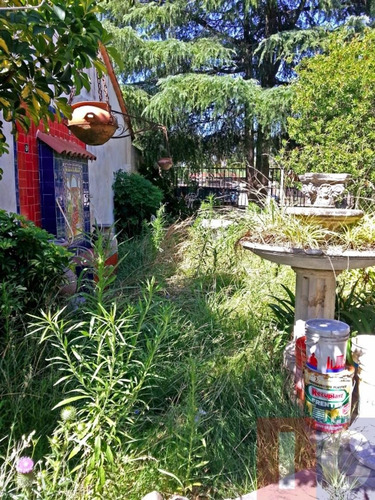 Imagen 11 de 13 de Chalet Clásico En Avda José María Paz La Venta - Amplio Lote